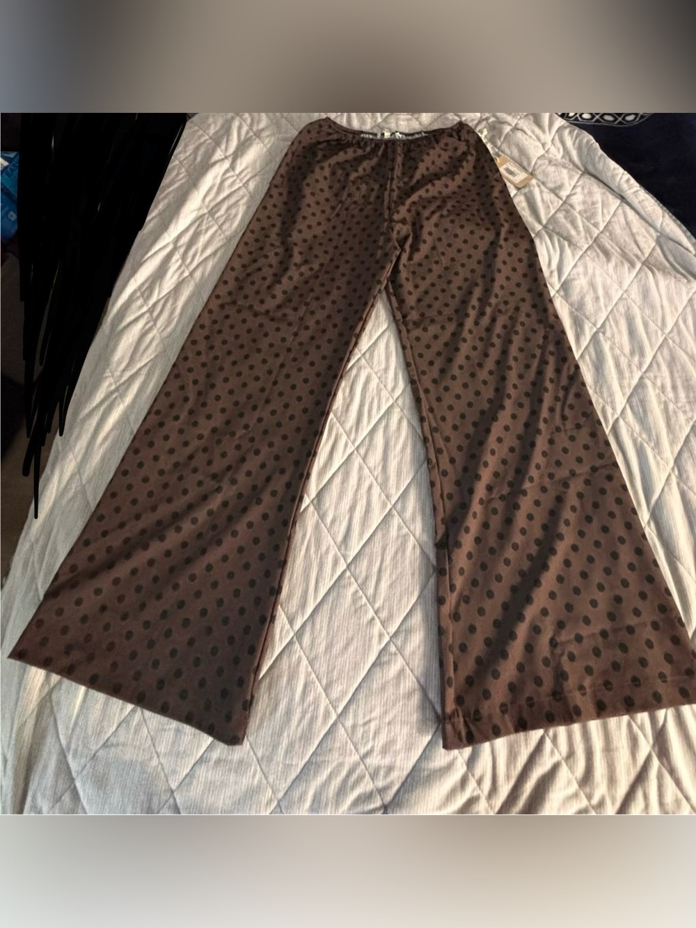 Albion Brown Polka Dot Boot Cut Pants